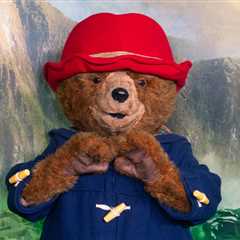 See ‘Paddington in Peru,’ Stream ‘Clean Slate,’ Read ‘Little House on the Prairie’ Ahead of the..