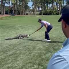 Billy Horschel saves golf fans from alligator at Cognizant Classic