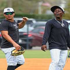 Yankees’ unlikely double-play duo is on a quest to become one up the middle