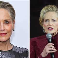 A Source Responded After Sharon Stone Claimed She Was Removed From Another Simple Favor For No..