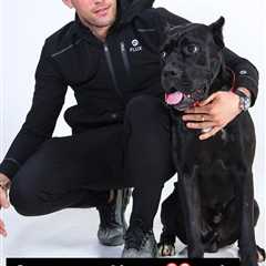 Jack Fincham to Get Cane Corso Dog Back After Successful Court Appeal