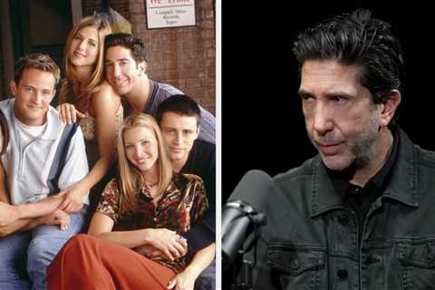 David Schwimmer Explained How His Child Unknowingly Shifted His Perspective On “Friends” After He..