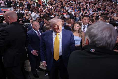 Donald Trump, Elon Musk and  Zac Efron lead the celebs at UFC 314 in Miami: Photos