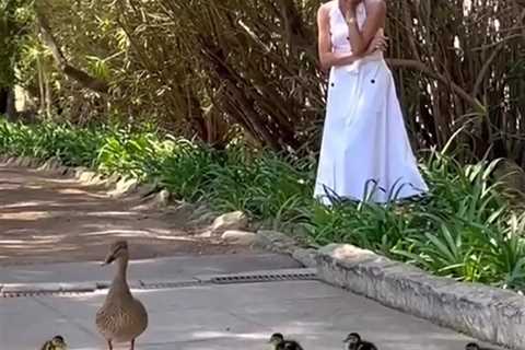 Unexpected Wildlife Encounter: Meghan Markle's Easter Surprise Near Montecito Home
