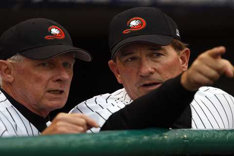 Long Island Ducks begin 25th season with a few twists