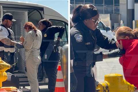 Alleged Illegal Aliens Handcuffed at LAX, Emotional Before Removal Flight