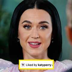 Katy Perry Had A Perplexing Response To An Onion Headline About Her