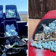 DEA Flaunts Historic Fentanyl Bust, Says Guns, Millions of Dollars Also Seized