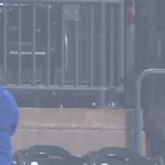 Raccoon invades Citi Field during Mets-Pirates game: ‘I’m scared’
