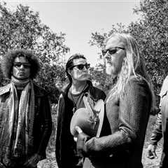 Alice in Chains’ Sean Kinney Shares Health Update Following Tour Cancellation: ‘I’m Going to Live’