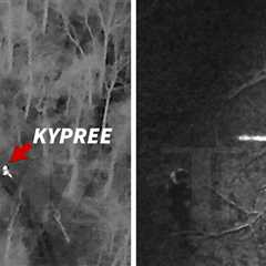 YouTuber Kid Kypree Arrest Caught on Infrared Drone Camera, Video Shows