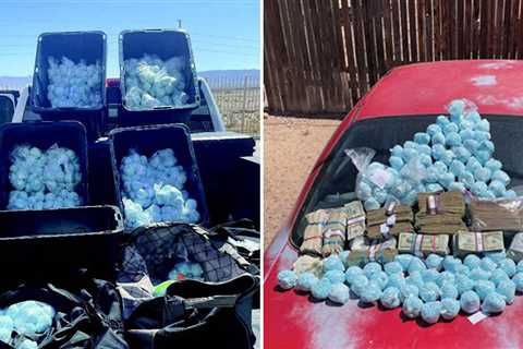 DEA Flaunts Historic Fentanyl Bust, Says Guns, Millions of Dollars Also Seized