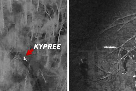 YouTuber Kid Kypree Arrest Caught on Infrared Drone Camera, Video Shows
