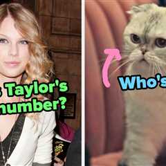 Are You A True Swiftie Or Just A Casual Listener?