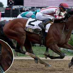 Journalism’s jockey readies for Triple Crown rematch with Sovereignty at Belmont Stakes
