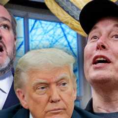 Ted Cruz Says He Was With Donald Trump During Elon Musk X Attack