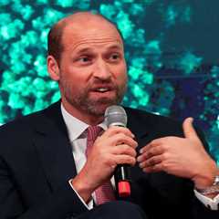 Prince William champions collective action for planetary preservation at Climate Week event