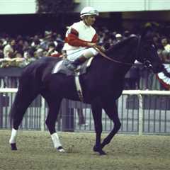 The horse race tragedy that united a family in heartbreak