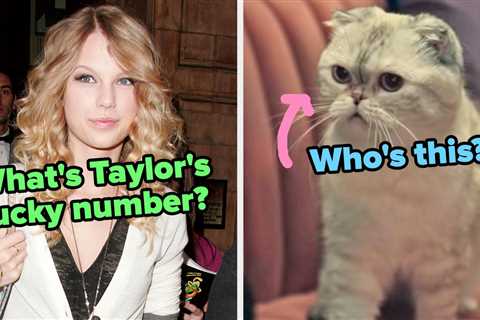 Are You A True Swiftie Or Just A Casual Listener?