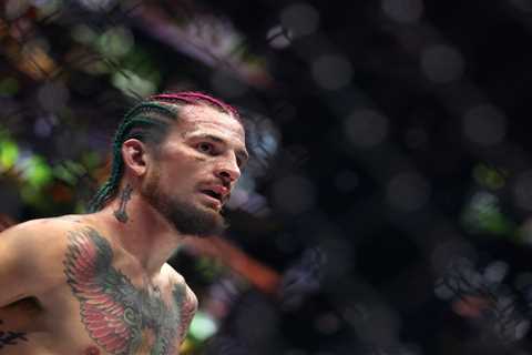 The remade Sean O’Malley is ready to show off his ‘prime’ — and get some UFC redemption