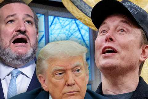 Ted Cruz Says He Was With Donald Trump During Elon Musk X Attack