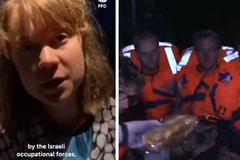 Here's Greta Thunberg's Statement After Being Intercepted By Israel