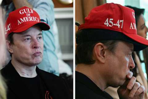 People Are Laughing At Elon Musk's Quasi-Apology To Donald Trump