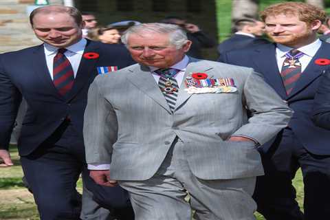 The Emotional Complexity of Prince Harry's Family Rift and Quest for Reconciliation