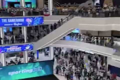 Palmeiras fans take over American Dream Mall before FIFA Club World Cup opener