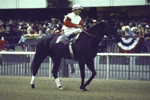The horse race tragedy that united a family in heartbreak