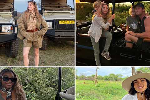 Stars On Safaris ... Where The Wild Things Are!