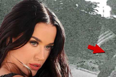 Katy Perry Seeks Protection From Transient She Says Is Harassing Her
