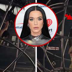 Katy Perry Trapped Inside Metal Ball During Australia Concert Malfunction