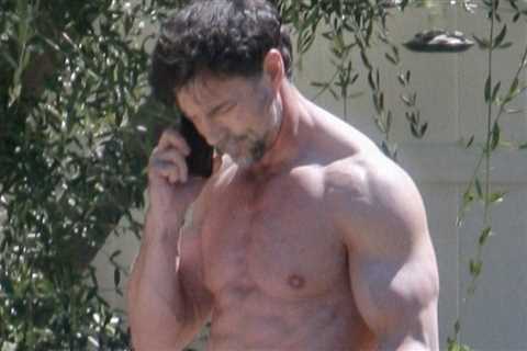 Denise Richards' Estranged Husband Aaron Phypers Shirtless While Served TRO