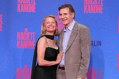 This Is Not A Drill, Liam Neeson And Pamela Anderson Are Reportedly Dating