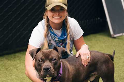Miranda Lambert’s Relief for Rescues Fund Gives $300K+ for Flood Recovery: ‘I Wanted to Help’