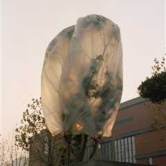 “Endless Dreams” by Photographer Yufei Ma