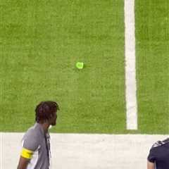 Sex toy thrown on field during Vikings-Titans game following WNBA fan arrests