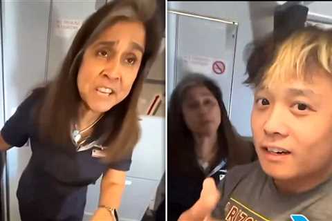 American Airlines Passenger Gets Ejected After Vaping Dispute With Stewardess on Video