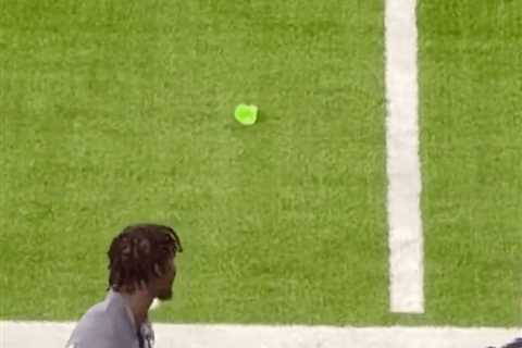 Sex toy thrown on field during Vikings-Titans game following WNBA fan arrests