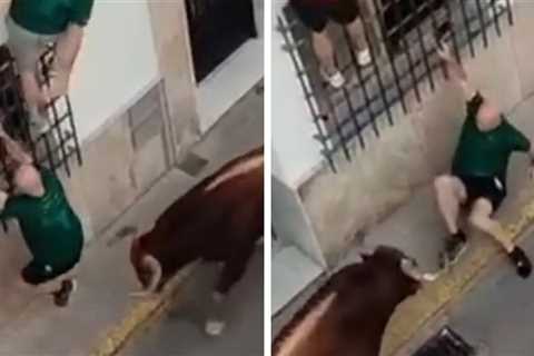 Spanish Bull Gores Spectator to Death, Watch the Video