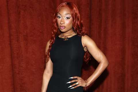 Megan Thee Stallion Seeks Proof That Tory Lanez Leaked DNA Evidence to DJ Akademiks