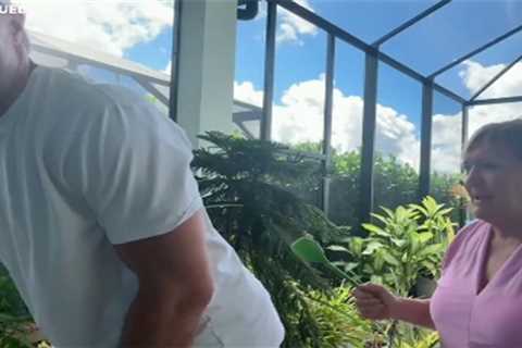 Rob Gronkowski’s mom spanks him with spatula on ‘Up & Adams’ in wild moment