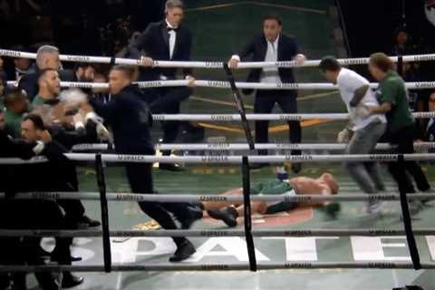 Ex-UFC star Wanderlei Silva knocked out in wild post-fight boxing brawl