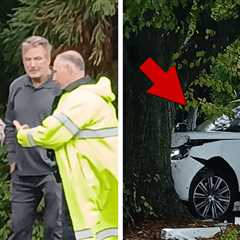 Alec and Stephen Baldwin Plow Their Range Rover into a Tree, and Survive