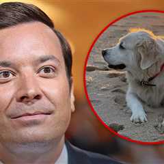Jimmy Fallon Announces Death of Family Dog Gary
