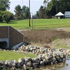 The Impact of Environmental Associations in Wayne County, Michigan