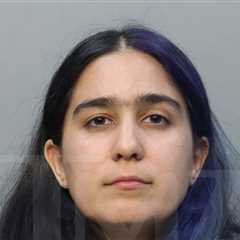 Gloria Estefan's Daughter's Partner Arrested for Robbery, Battery