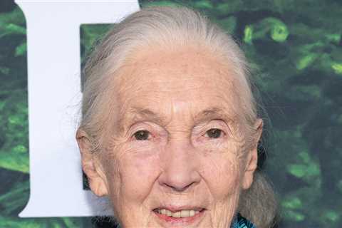 Dr. Jane Goodall Dead at 91