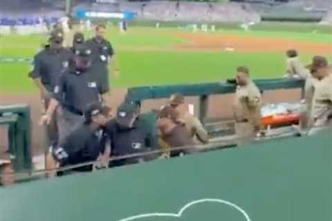 Padres in ugly dugout confrontation with umpires after brutal call helps end season